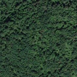 Satellite imagery of PLATTS LOOKOUT — NGS SX1527 — King County, US, US