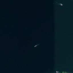 Satellite imagery of Lees Point, US
