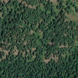 Satellite imagery of Yellowbanks Ridge, US