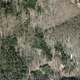 Satellite imagery of Hagenturm, CH