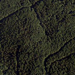 Satellite imagery of Schwarzenberg, AT