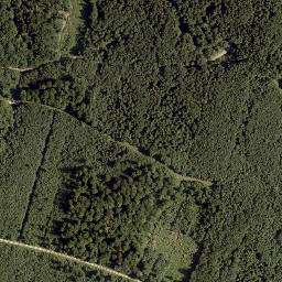 Satellite imagery of Schwarzenberg, AT