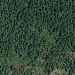 Satellite imagery of Yellowbanks Ridge, US