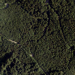 Satellite imagery of Schwarzenberg, AT