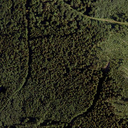 Satellite imagery of Schwarzenberg, AT