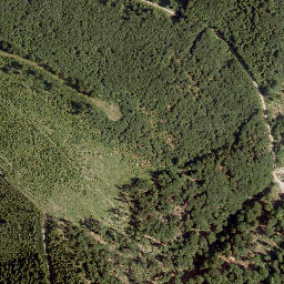 Satellite imagery of Schwarzenberg, AT