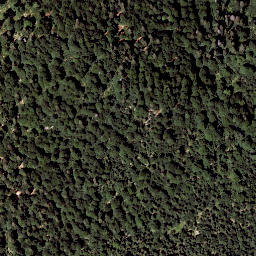 Satellite imagery of Edelwies, AT