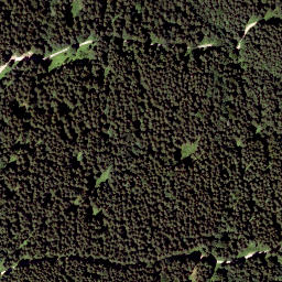 Satellite imagery of Wildalpe, AT
