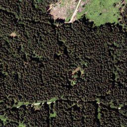 Satellite imagery of Wildalpe, AT