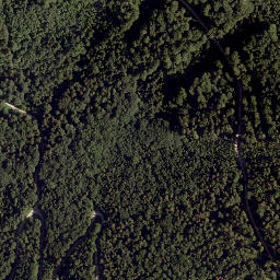 Satellite imagery of Schwarzenberg, AT