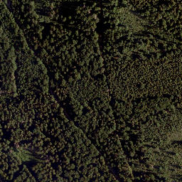 Satellite imagery of Schwarzenberg, AT