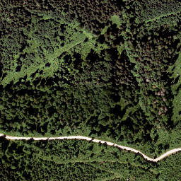 Satellite imagery of Wildalpe, AT