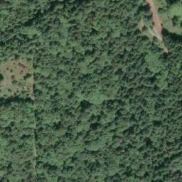 Satellite imagery of Whitney Point, US
