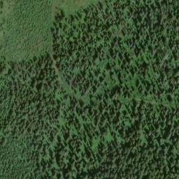 Satellite imagery of Grizzly Ridge, US