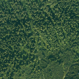 Satellite imagery of Hinterstaufen, DE