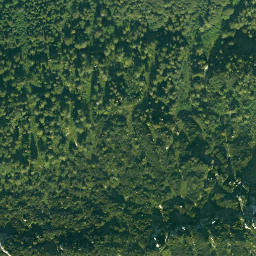 Satellite imagery of Hinterstaufen, DE