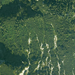Satellite imagery of Zwiesel, DE