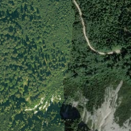 Satellite imagery of Mittelstaufen, DE