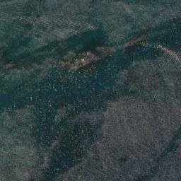 Satellite imagery of Clowns Cove Tolt, CA