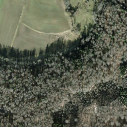 Satellite imagery of Schleitheimer Randenturm, CH