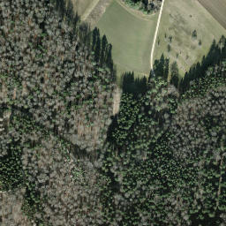 Satellite imagery of Schleitheimer Randenturm, CH