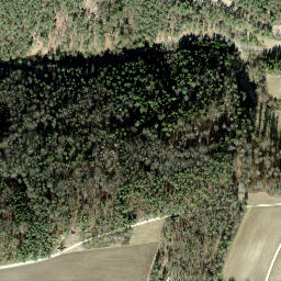 Satellite imagery of Jakobsfelsen, CH