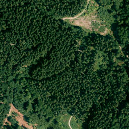 Satellite imagery of Walkenberg, DE