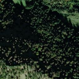 Satellite imagery of Thorauschneid, DE