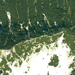 Satellite imagery of Hinterstaufen, DE