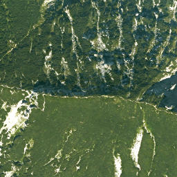 Satellite imagery of Zwiesel, DE