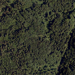 Satellite imagery of Wurmsattel, AT