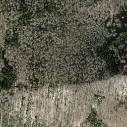 Satellite imagery of Schleitheimer Randenturm, CH