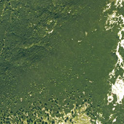 Satellite imagery of Hinterstaufen, DE