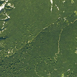 Satellite imagery of Zwiesel, DE