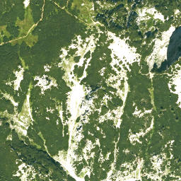 Satellite imagery of Zwiesel, DE