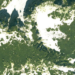 Satellite imagery of Zwiesel, DE