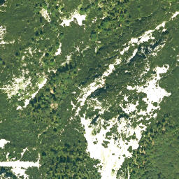 Satellite imagery of Mittelstaufen, DE