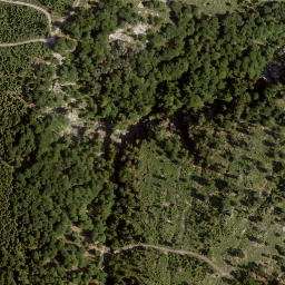 Satellite imagery of Eibenkogel, AT