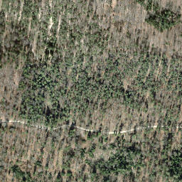 Satellite imagery of Schleitheimer Randenturm, CH