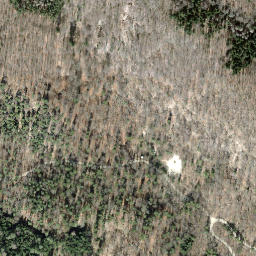 Satellite imagery of Schlossranden, CH