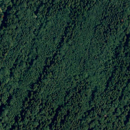 Satellite imagery of Sulzberg, DE