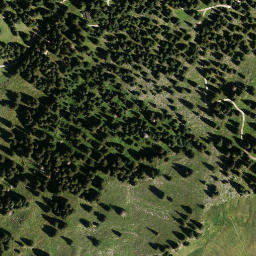 Satellite imagery of Predigtstuhl, DE