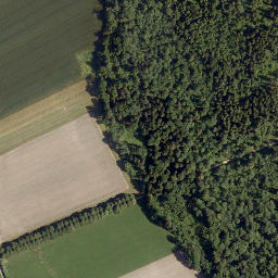 Satellite imagery of Schloss Anif, AT