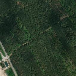 Satellite imagery of survey_point, AT
