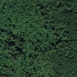 Satellite imagery of LANGENDORF — NGS SX1528 — King County, US, US