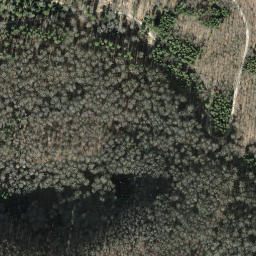 Satellite imagery of Schlossranden, CH