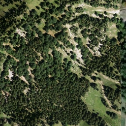 Satellite imagery of Predigtstuhl, DE