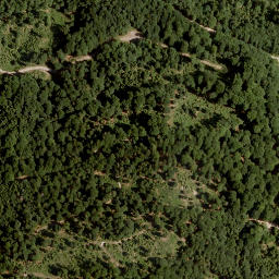 Satellite imagery of Nesseltal Kogel, AT