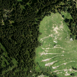 Satellite imagery of Predigtstuhl, DE