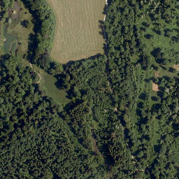 Satellite imagery of Schloss Anif, AT